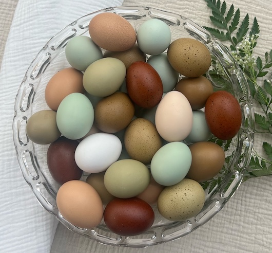 Farm fresh chicken eggs in a variety of natural colors including blue, green, olive, brown, cream, and white displayed in a glass bowl.