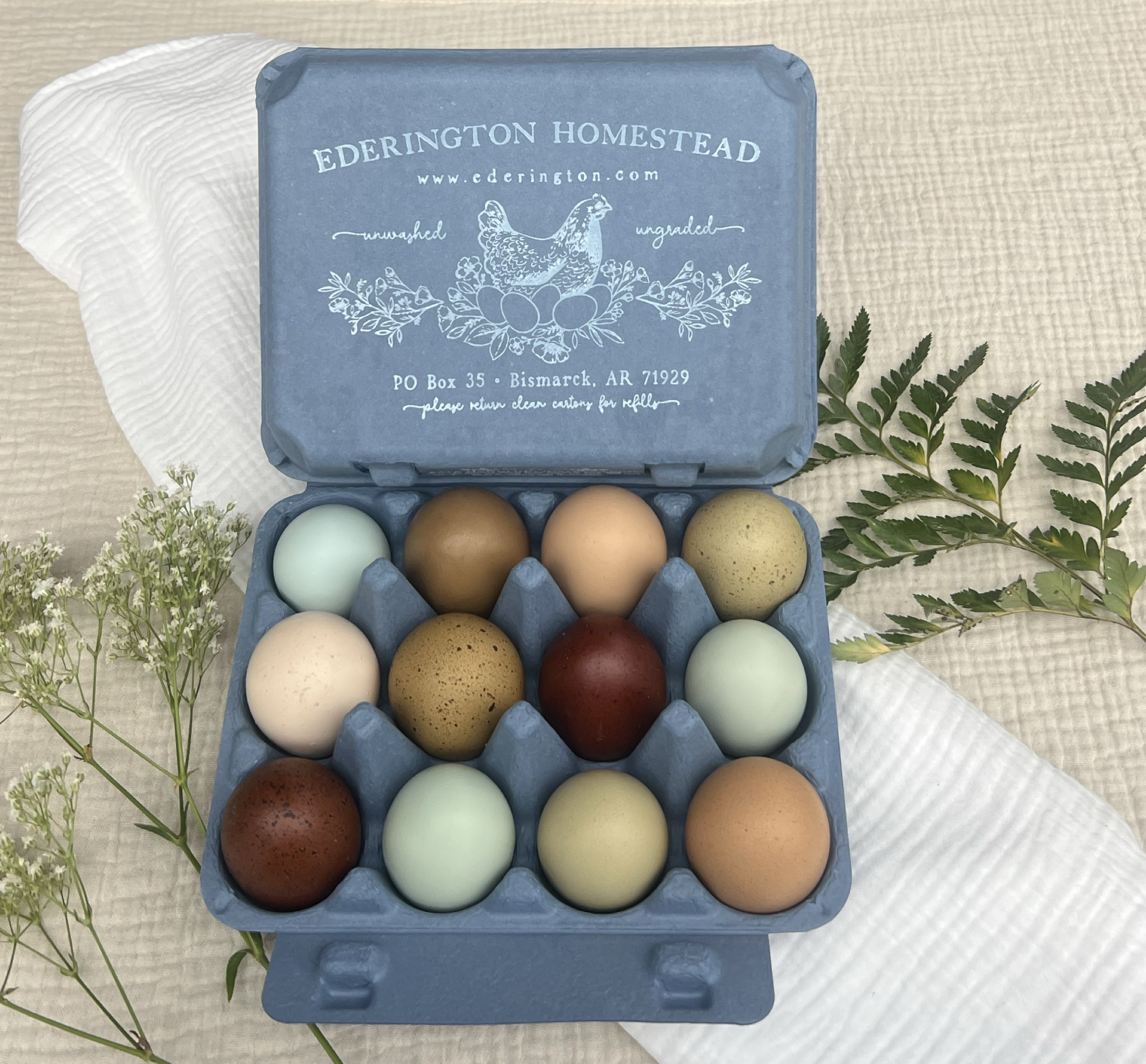 Open egg carton displaying a dozen farm fresh eggs in blue, green, brown, tan, and cream colors from Ederington Homestead.