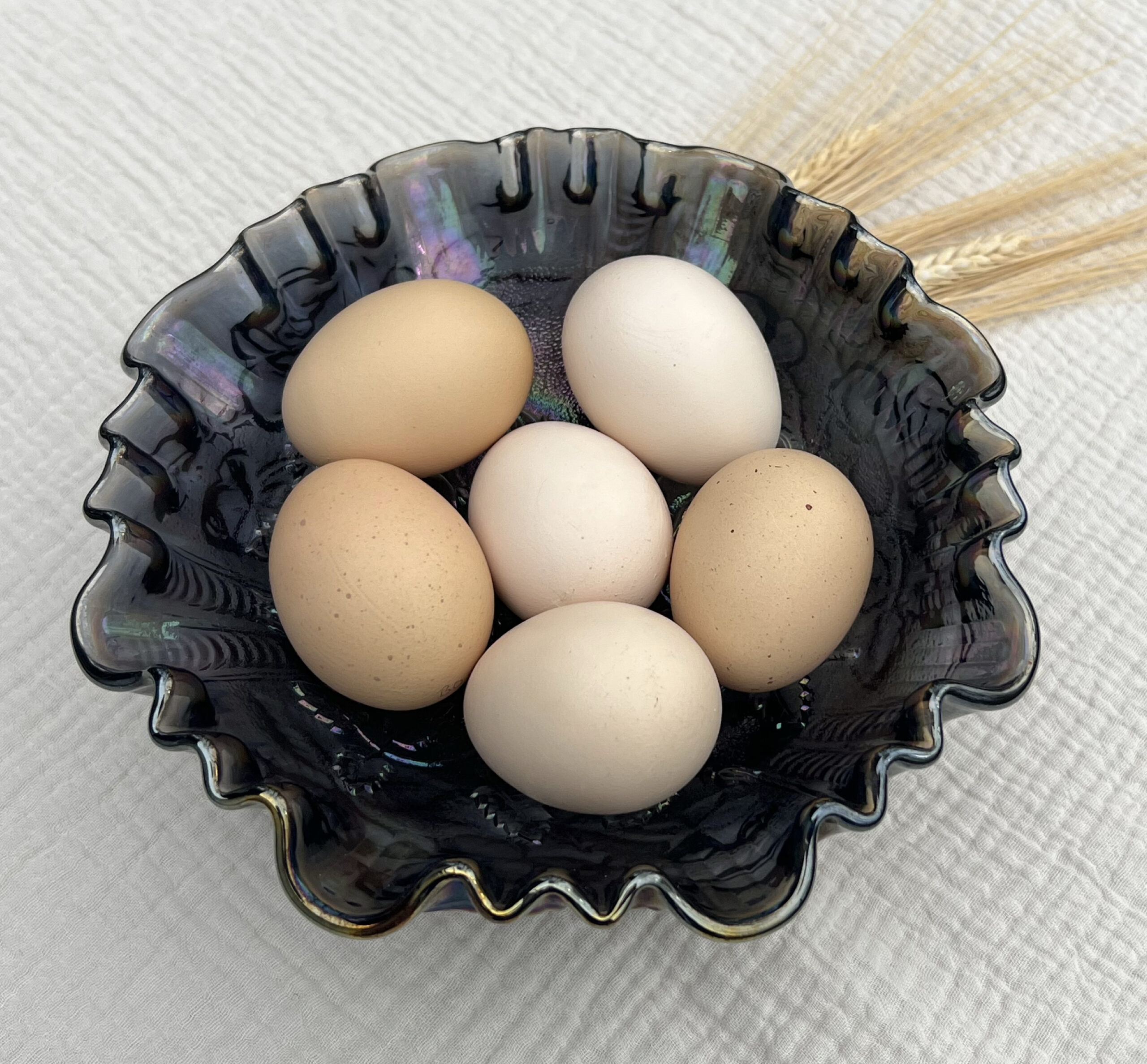 Placeholder image of a cracked egg with the text “Pictures Coming Soon” overlaid.